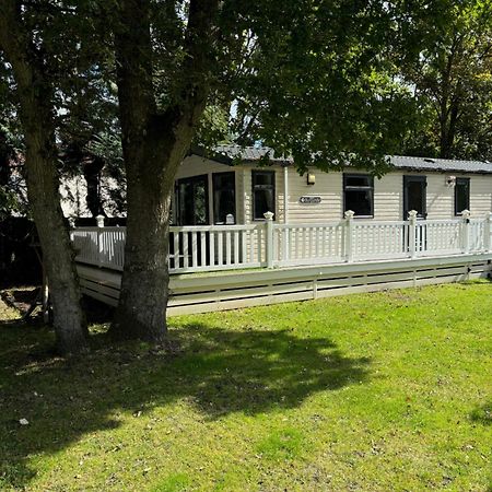 Forest Edge Saint Leonards Εξωτερικό φωτογραφία